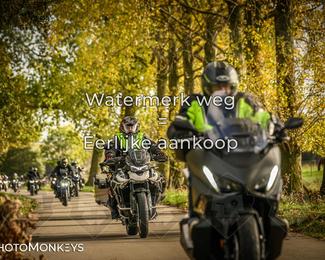 Herfstrit Moerzeke photo