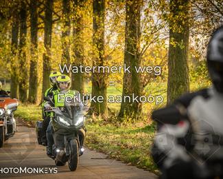 Herfstrit Moerzeke photo