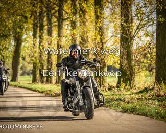 Herfstrit Moerzeke photo