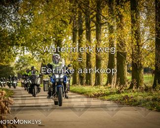 Herfstrit Moerzeke photo