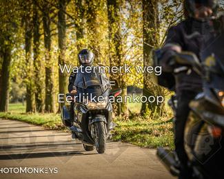 Herfstrit Moerzeke photo