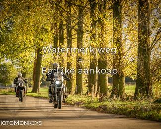 Herfstrit Moerzeke photo