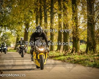 Herfstrit Moerzeke photo