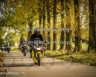 Herfstrit Moerzeke photo