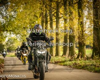 Herfstrit Moerzeke photo