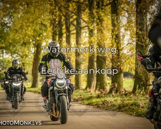 Herfstrit Moerzeke photo