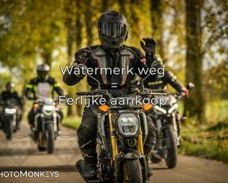 Herfstrit Moerzeke photo