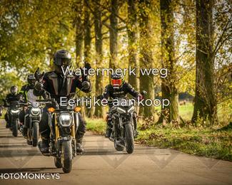 Herfstrit Moerzeke photo