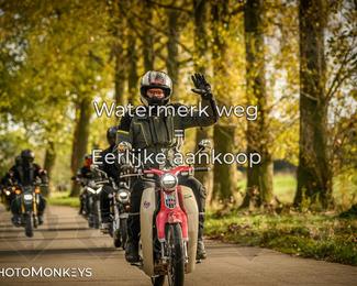 Herfstrit Moerzeke photo