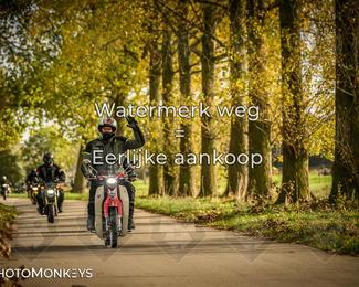 Herfstrit Moerzeke photo