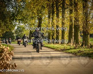 Herfstrit Moerzeke photo