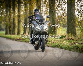 Balade d’automne Moerzeke photo