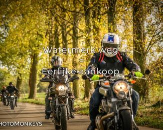 Herfstrit Moerzeke photo