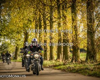 Herfstrit Moerzeke photo