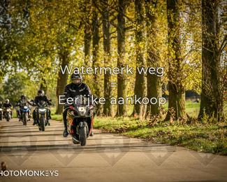 Herfstrit Moerzeke photo