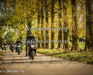 Herfstrit Moerzeke photo