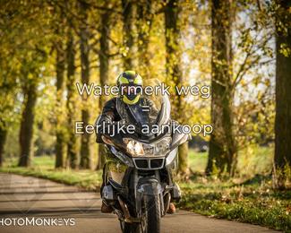 Herfstrit Moerzeke photo