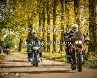 Herfstrit Moerzeke photo