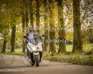 Herfstrit Moerzeke photo