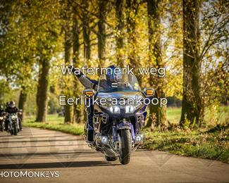 Herfstrit Moerzeke photo