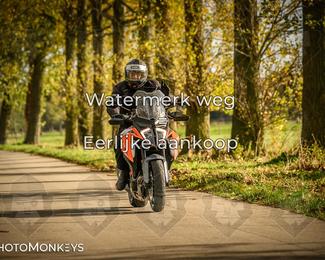 Herfstrit Moerzeke photo