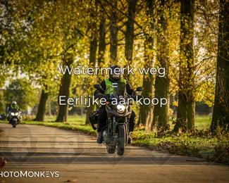 Herfstrit Moerzeke photo