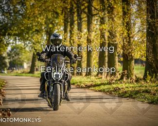 Herfstrit Moerzeke photo