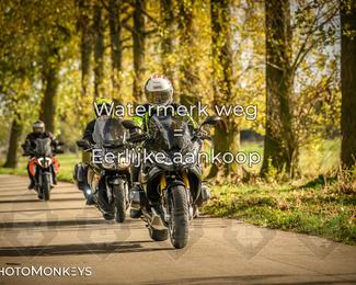 Herfstrit Moerzeke photo