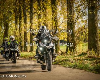 Herfstrit Moerzeke photo