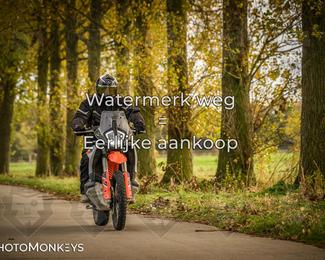 Herfstrit Moerzeke photo