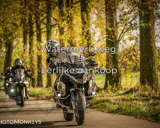 Herfstrit Moerzeke photo