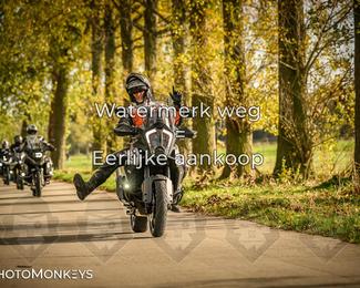 Herfstrit Moerzeke photo