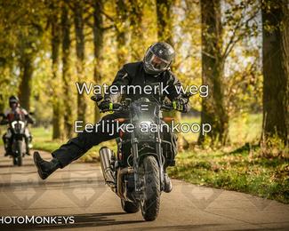 Herfstrit Moerzeke photo