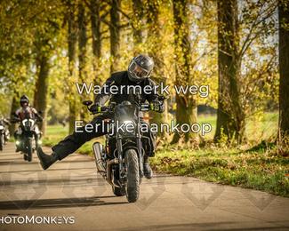 Herfstrit Moerzeke photo