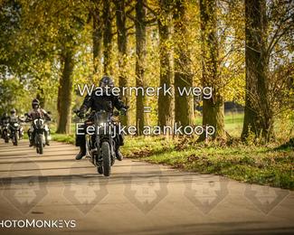 Herfstrit Moerzeke photo