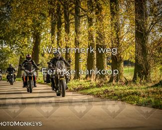 Herfstrit Moerzeke photo