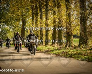 Herfstrit Moerzeke photo