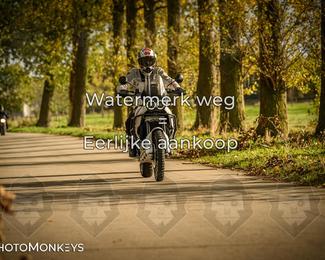 Herfstrit Moerzeke photo