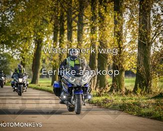 Herfstrit Moerzeke photo