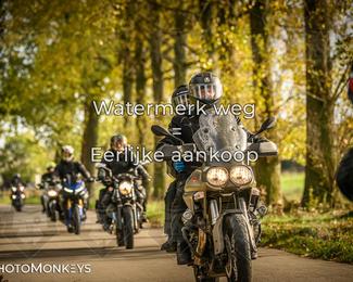 Herfstrit Moerzeke photo