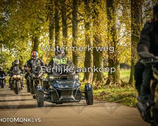 Herfstrit Moerzeke photo