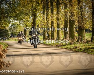 Herfstrit Moerzeke photo