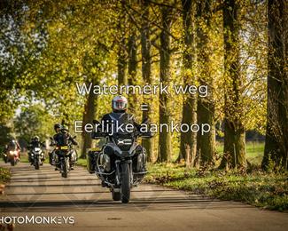 Herfstrit Moerzeke photo