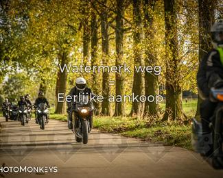 Herfstrit Moerzeke photo