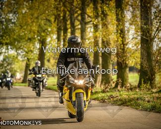 Herfstrit Moerzeke photo