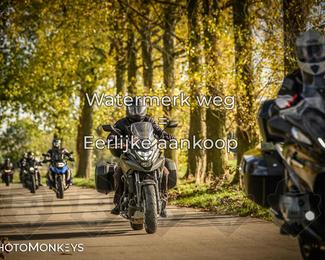 Herfstrit Moerzeke photo