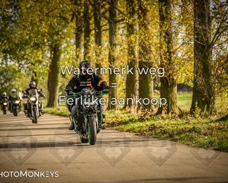 Herfstrit Moerzeke photo