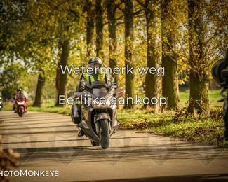 Herfstrit Moerzeke photo