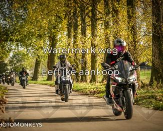 Herfstrit Moerzeke photo