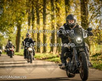 Herfstrit Moerzeke photo